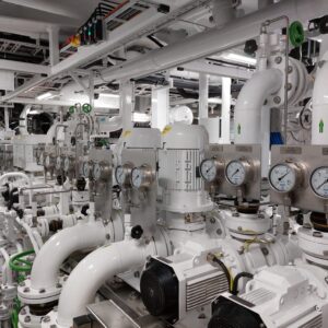 WhatsApp Image 2025-03-07 at 19.53.19_76933027