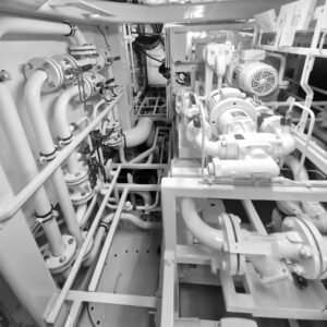 WhatsApp Image 2025-03-07 at 19.55.14_7029e78c