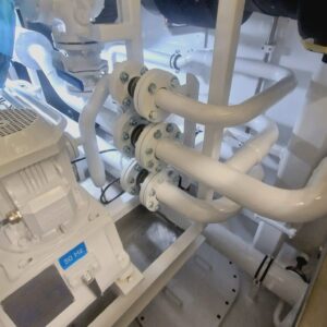 WhatsApp Image 2025-03-07 at 19.55.14_b9f5d61e